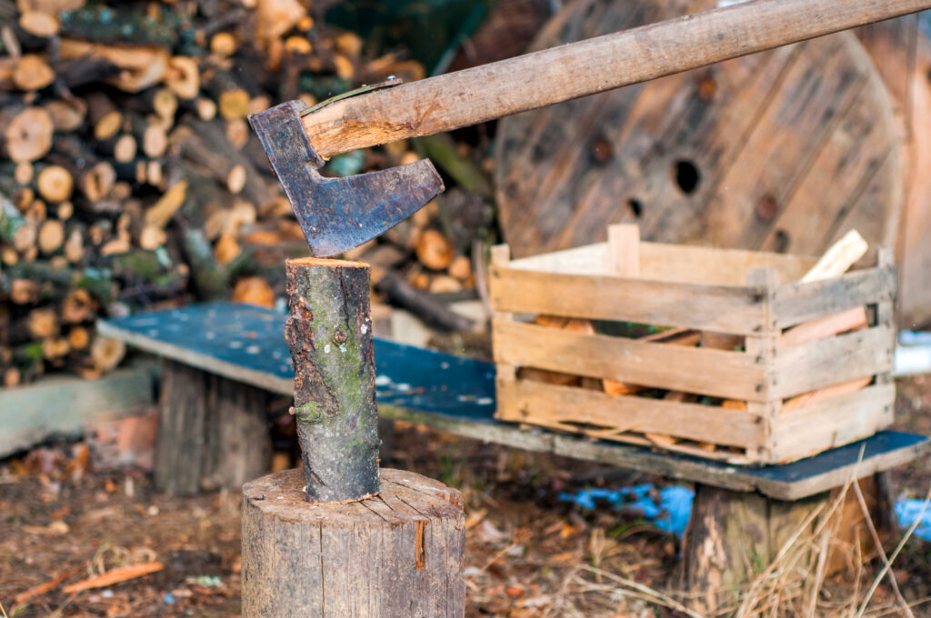 Tree Service Work Photo | Trees by Forrest