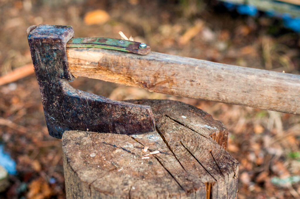 Professional Tree Removal | Trees by Forrest