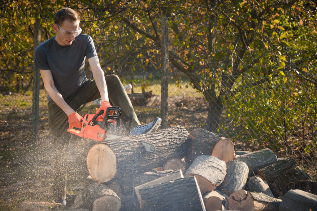 Tree Removal Crew at Work | Trees by Forrest