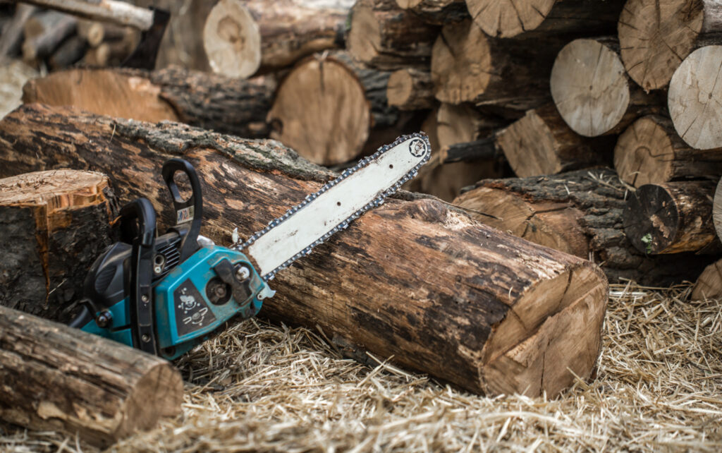 Tree Removal Equipment | Trees by Forrest | Best Tree Service in Plymouth MN