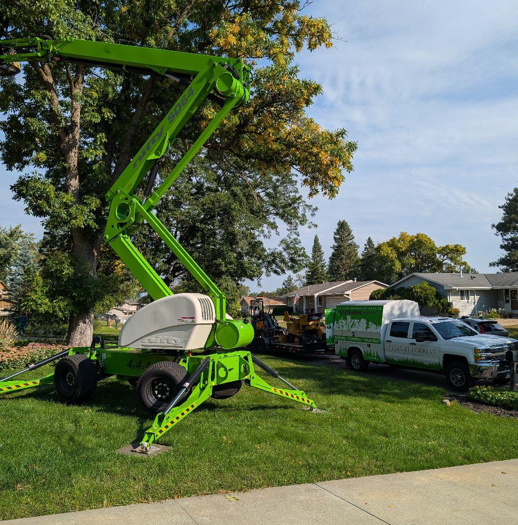 Trees by Forrest Tree Service Crew | Best Tree Removal in Plymouth MN