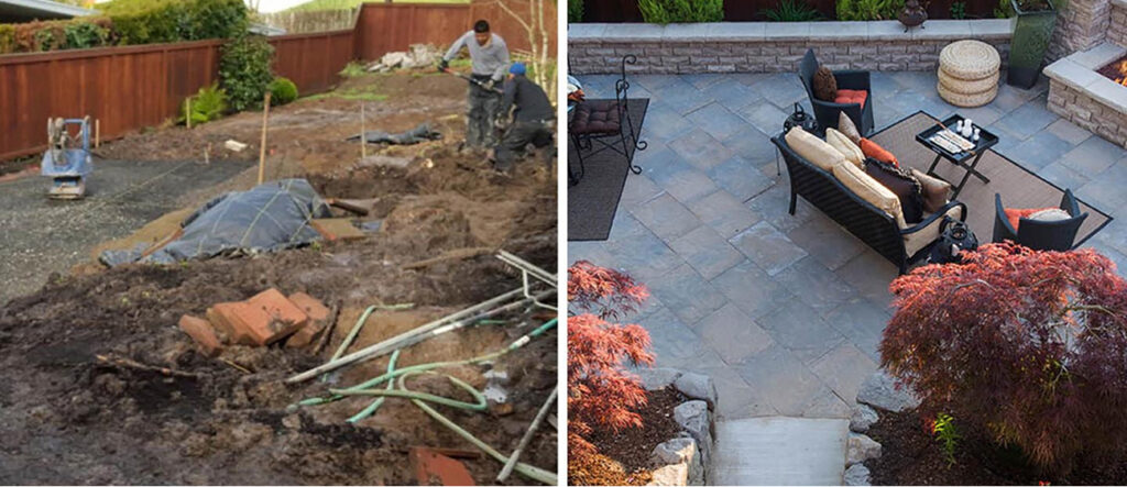 Before and After Tree Removal | Trees by Forrest | Best Tree Service in Plymouth MN