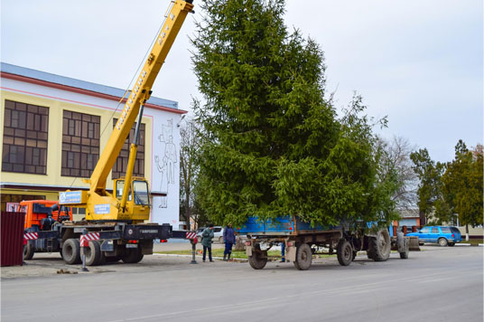 Commercial Tree Service | Trees by Forrest | Best Commercial Tree Care Near Minneapolis