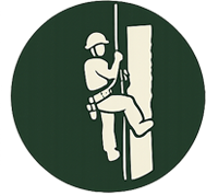 Groundsman at Trees by Forrest | Best Tree Service in Hennepin County
