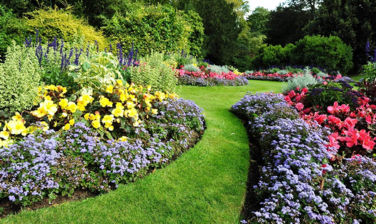 Landscaped Yard After Tree Service | Trees by Forrest | Best Tree Care Near Minneapolis