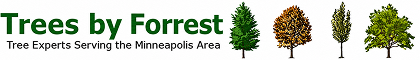 Trees by Forrest Logo