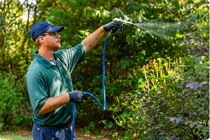 Plant Health Care | Trees by Forrest | Best Emerald Ash Borer Treatment Near Minneapolis