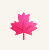 Silver Maple Tree Icon