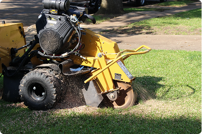 Stump Grinding | Trees by Forrest | Best Stump Grinding in Plymouth MN