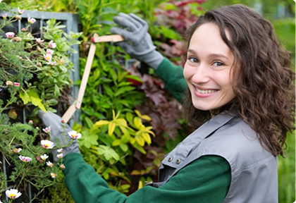 When Is the Best Time to Trim Trees in Minnesota? | Trees by Forrest | Best Tree Trimming in Plymouth MN