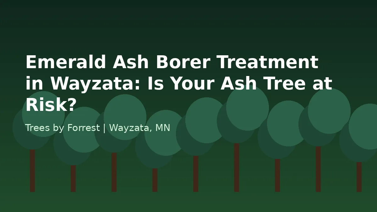 Emerald Ash Borer Treatment in Wayzata: Is Your Ash Tree at Risk? | Trees by Forrest | Best Plant Health Care (EAB) in Wayzata